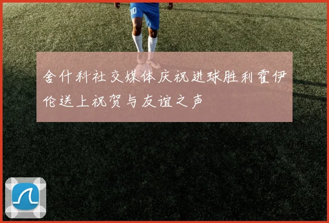 舍什科社交媒体庆祝进球胜利霍伊伦送上祝贺与友谊之声