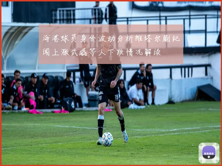 海港球员身价波动分析维塔尔蒯纪闻上涨武磊等人下跌情况解读